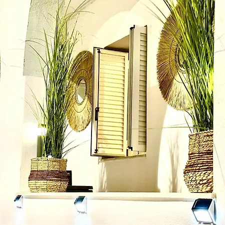Naousaki Premium 1 ناوسا